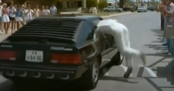 映画 キャノンボール 車好きにおすすめの実在した公道爆走レース映画 Gullivlogの日 映画 キャノンボール 車好きにおすすめの実在した公道爆走レース映画 Gullivlogの日